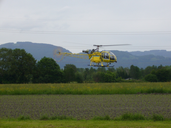 Altach_200506 006