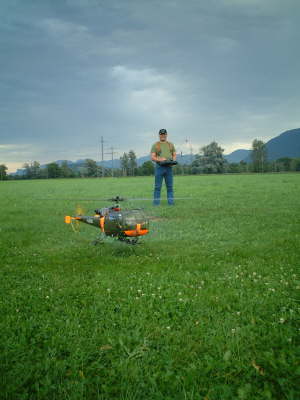 Pirmin im Landeanflug