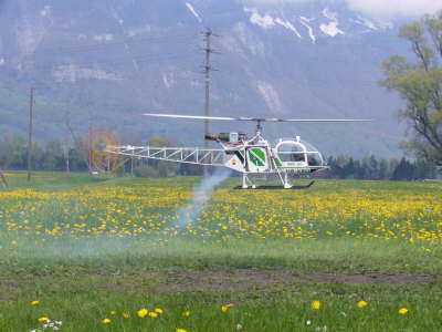 Helifliegen_300406 052