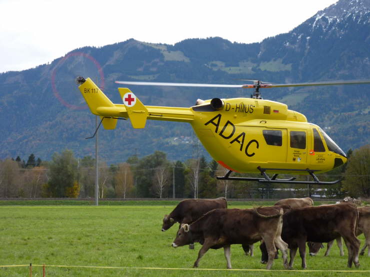 Heli und Khe